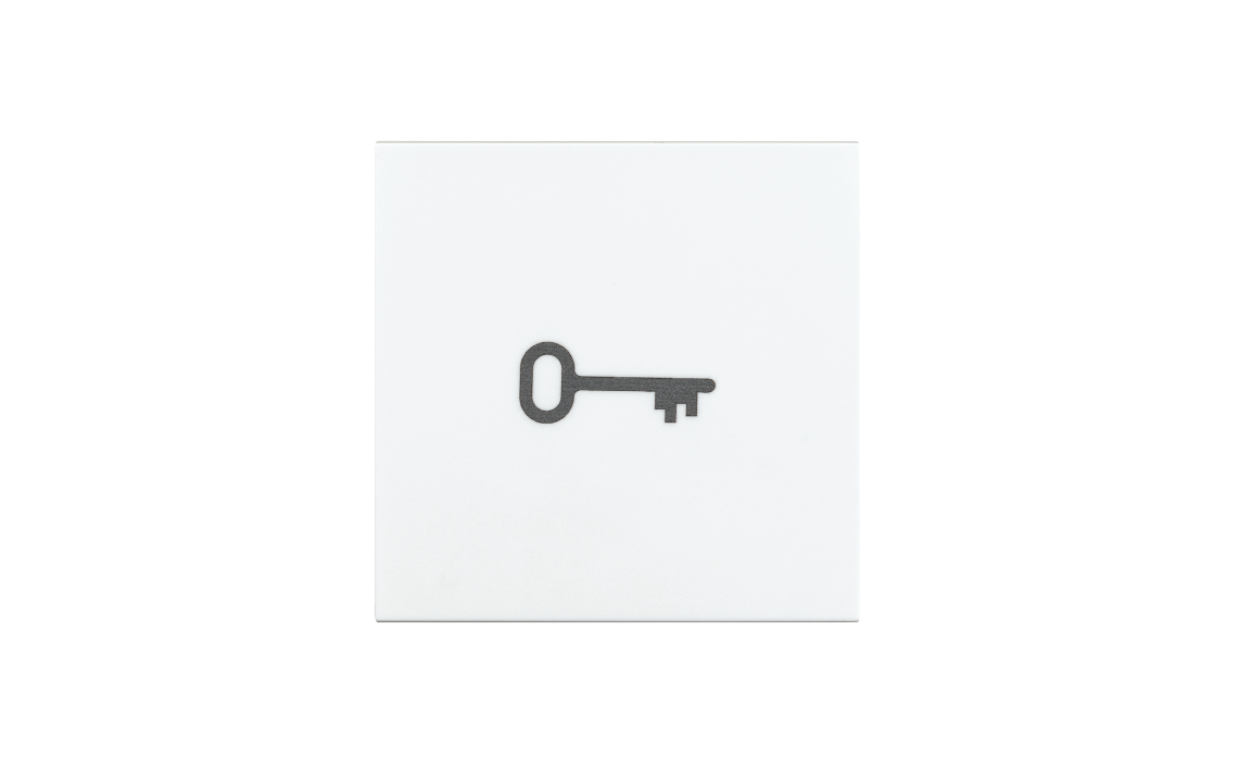 Switch button symbol White Key